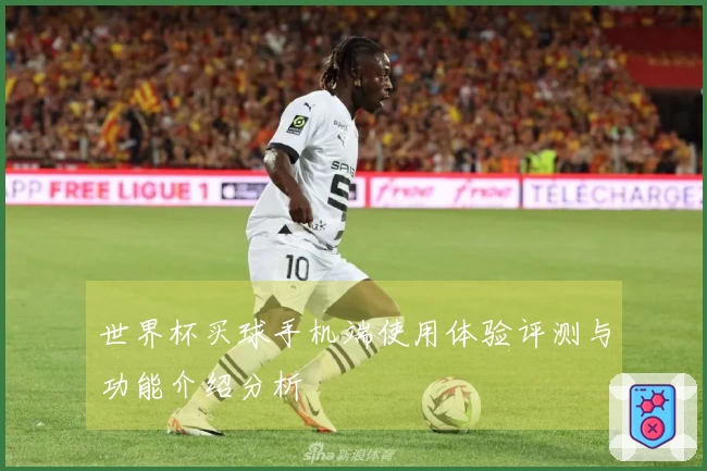 世界杯买球手机端使用体验评测与功能介绍分析