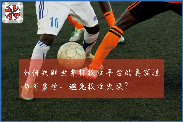 如何判断世界杯投注平台的真实性与可靠性，避免投注失误？