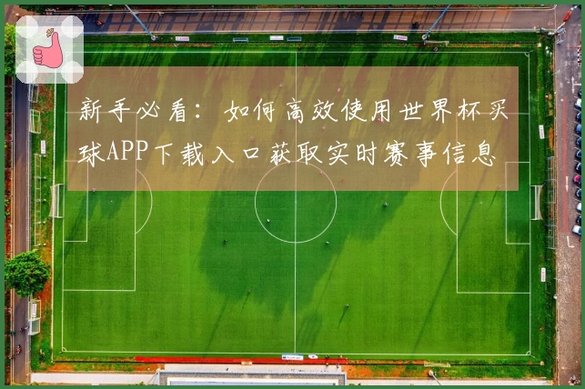 新手必看：如何高效使用世界杯买球APP下载入口获取实时赛事信息