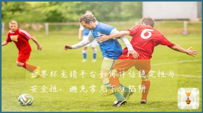 世界杯竞猜平台如何评估稳定性与安全性，避免常见下注陷阱