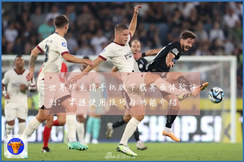 世界杯竞猜手机版下载界面体验评测：掌握使用技巧与功能介绍