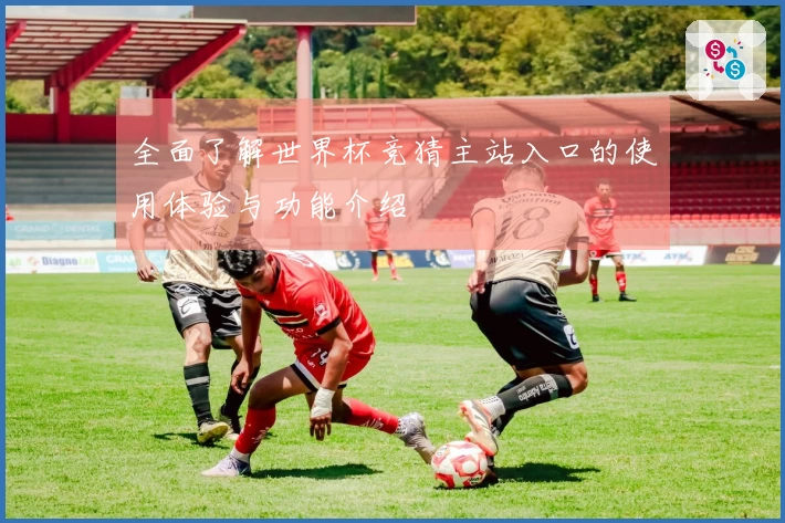 全面了解世界杯竞猜主站入口的使用体验与功能介绍