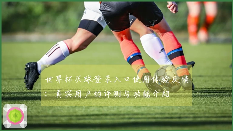 世界杯买球登录入口使用体验反馈:真实用户的评测与功能介绍