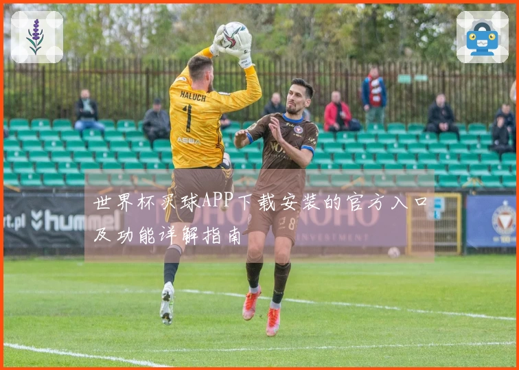 世界杯买球APP下载安装的官方入口及功能详解指南