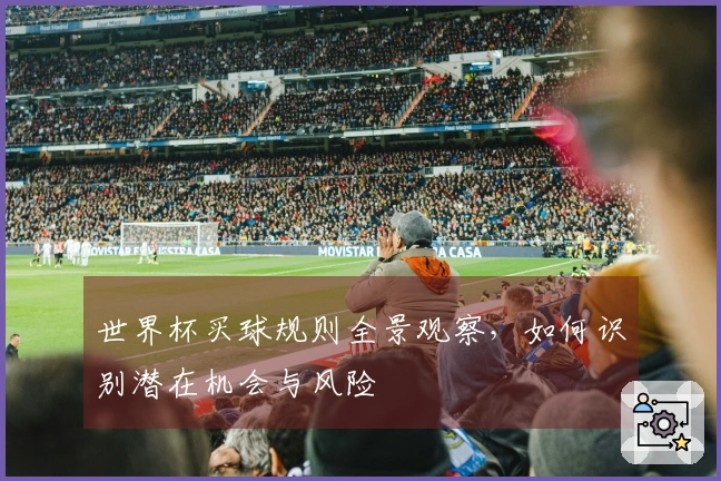 世界杯买球规则全景观察，如何识别潜在机会与风险
