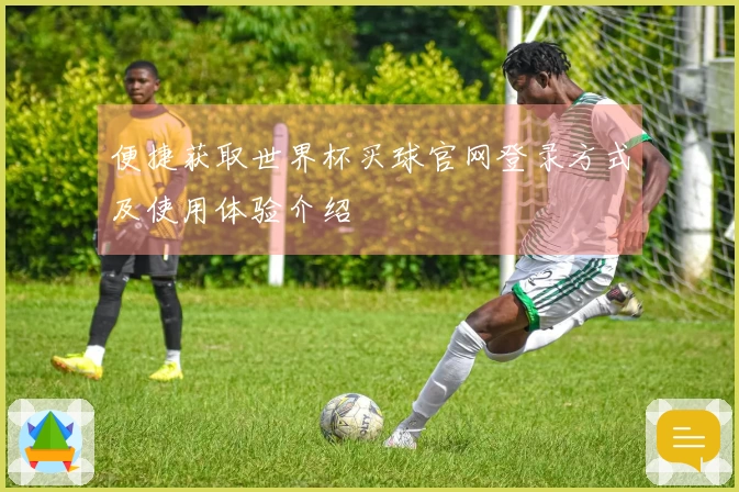 便捷获取世界杯买球官网登录方式及使用体验介绍