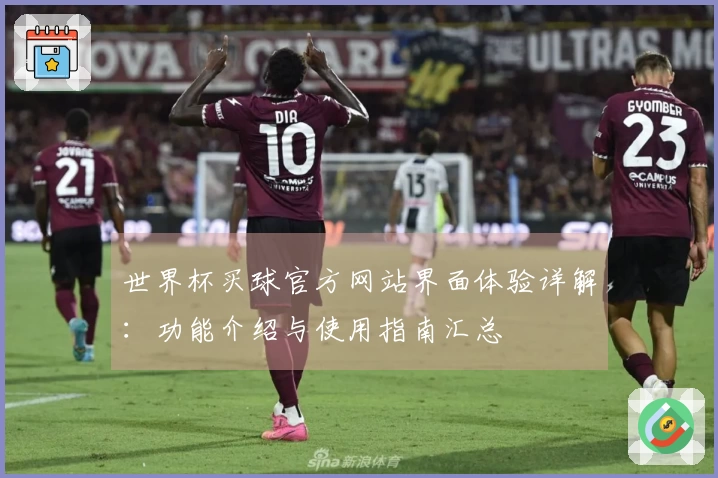 世界杯买球官方网站界面体验详解：功能介绍与使用指南汇总