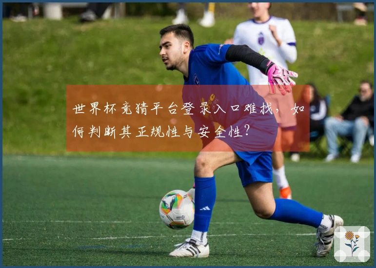 世界杯竞猜平台登录入口难找，如何判断其正规性与安全性？