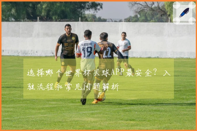 选择哪个世界杯买球APP最安全？入驻流程和常见问题解析