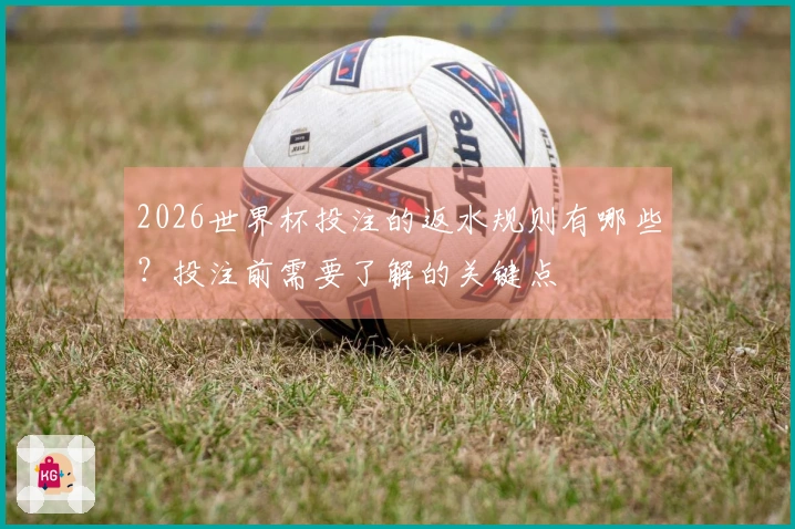 2026世界杯投注的返水规则有哪些?投注前需要了解的关键点