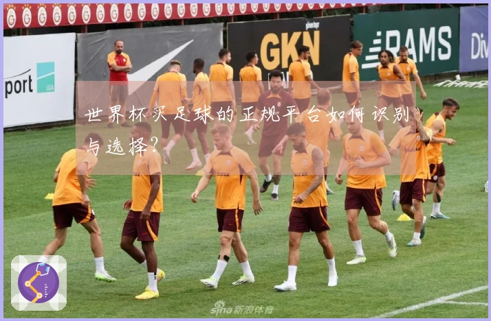 世界杯买足球的正规平台如何识别与选择？