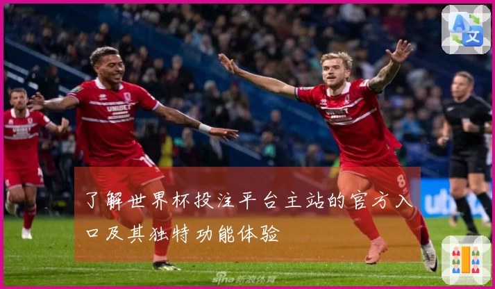 了解世界杯投注平台主站的官方入口及其独特功能体验